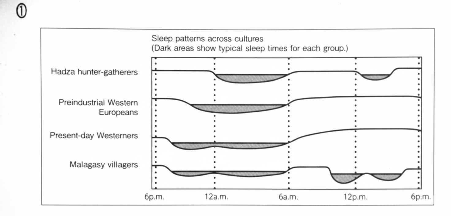 Sleep patterns Chart