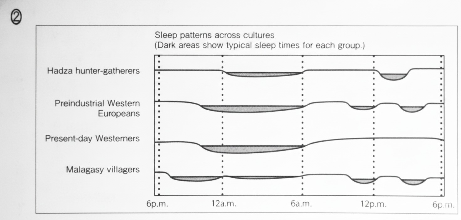 Sleep patterns Chart 2