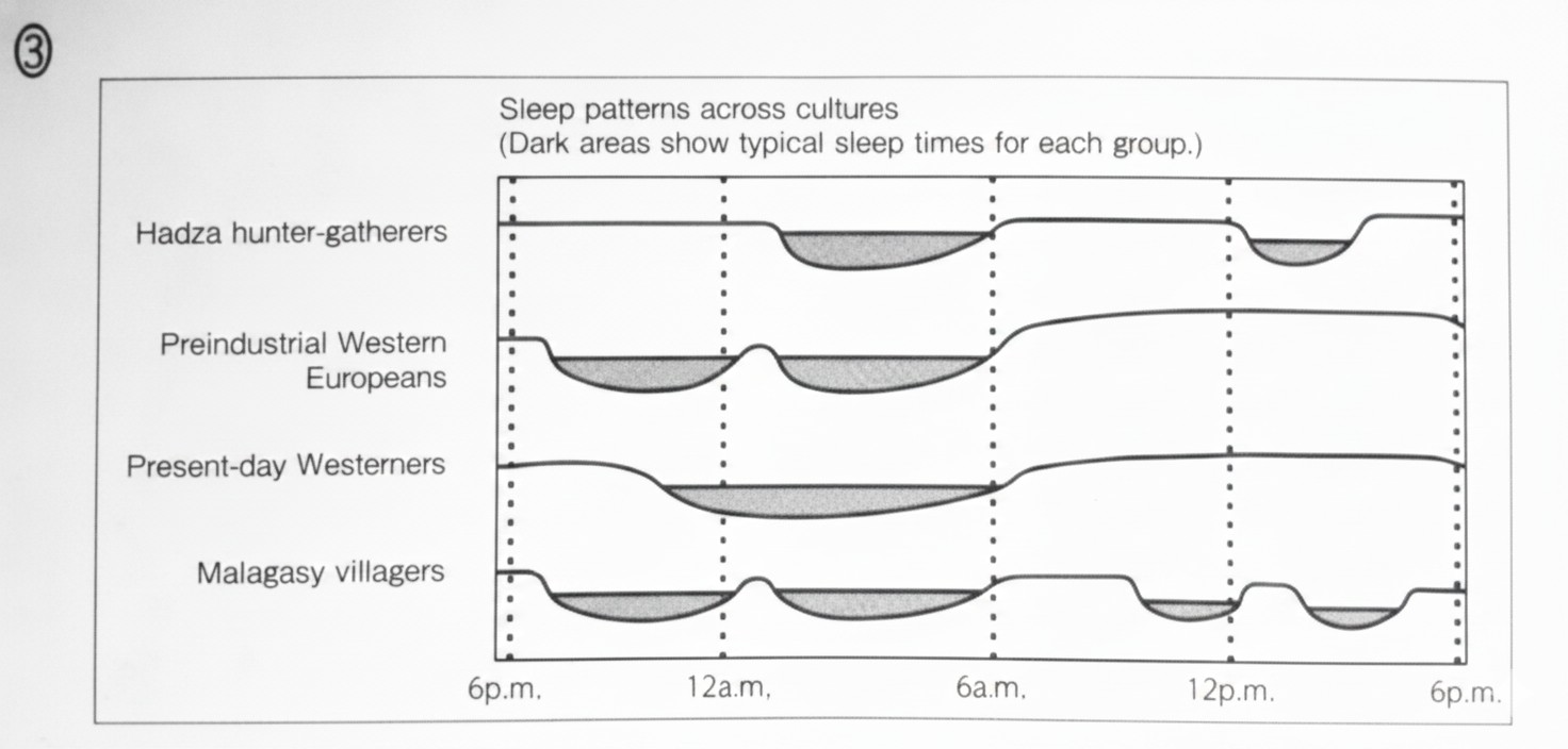 Sleep patterns Chart 3