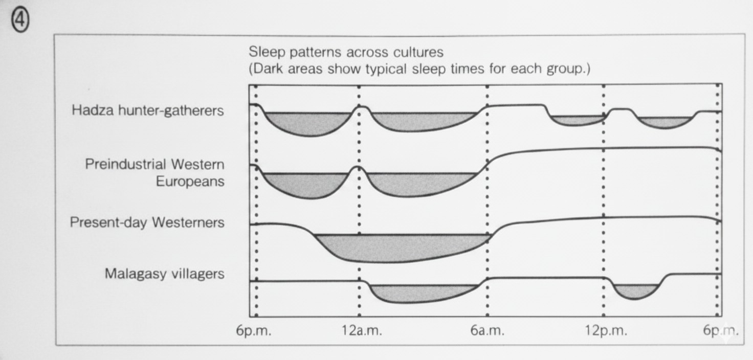 Sleep patterns Chart 4